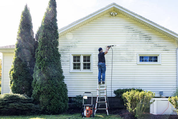 Best Gutter Cleaning  in Ellijay, GA
